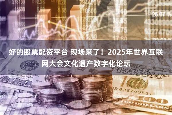 好的股票配资平台 现场来了！2025年世界互联网大会文化遗产数字化论坛