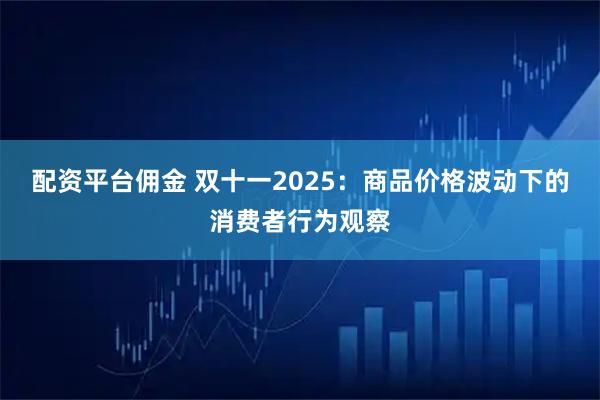 配资平台佣金 双十一2025:商品价格波动下的消费者行为观察