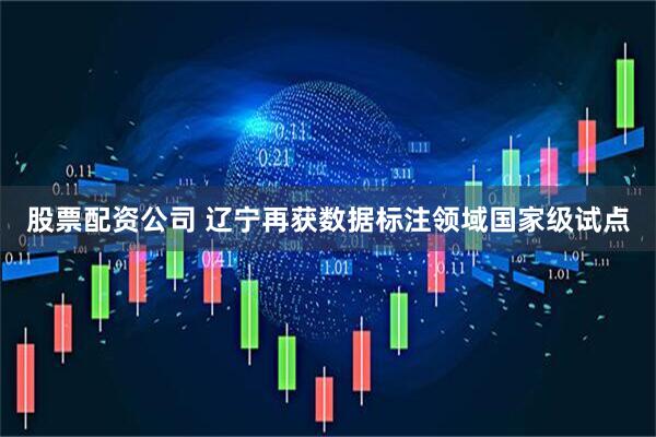 股票配资公司 辽宁再获数据标注领域国家级试点